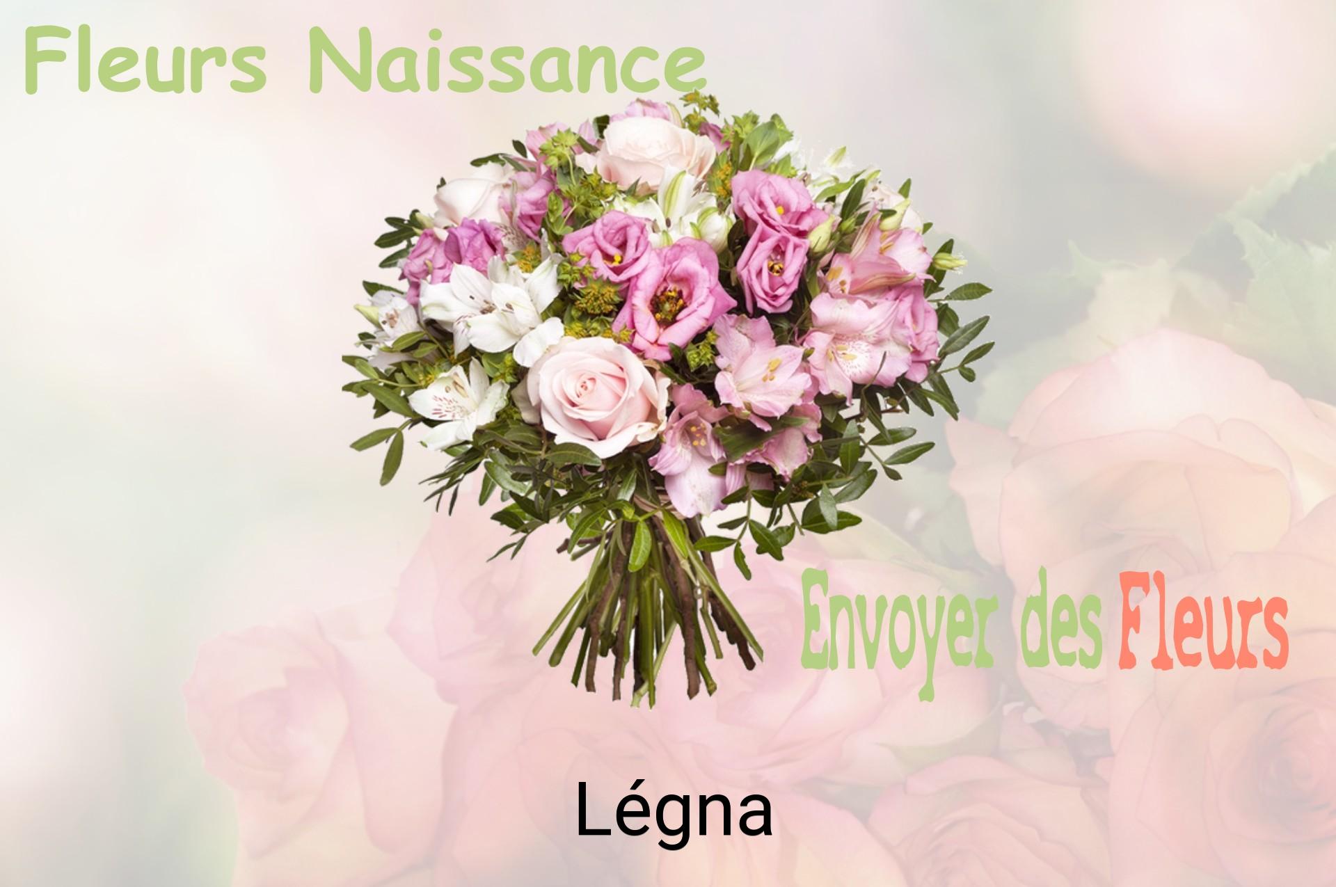 Bouquet de fleurs de naissance livré à Légna